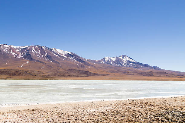 istock Laguna Hedionda view, Bolivia 2207379165
