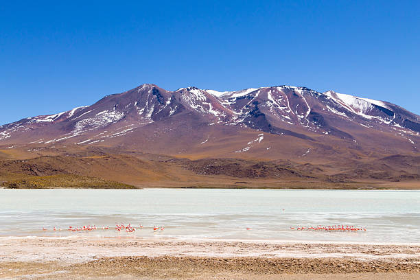 istock Laguna Hedionda view, Bolivia 2207379174