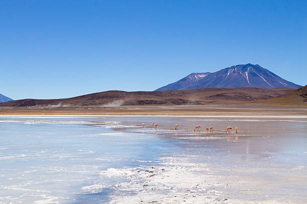 istock Laguna Honda view, Bolivia 2207380806