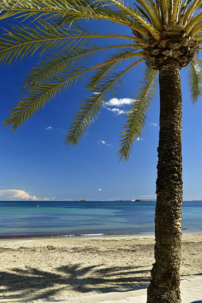 Beautiful natural landscape of the island.