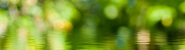 istock Captivating reflections ripple across a serene lake surrounded by lush greenery in the heart of nature's tranquility 2207388830