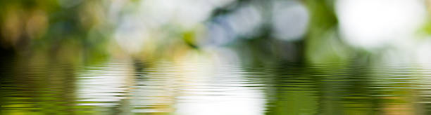 istock Serene reflection of nature's colors in a tranquil water surface during a peaceful afternoon in a lush environment 2207388835