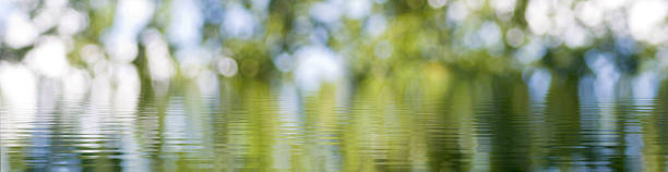 istock Captivating reflection of lush greenery on tranquil water surface under a bright sky during a serene morning setting 2207388836