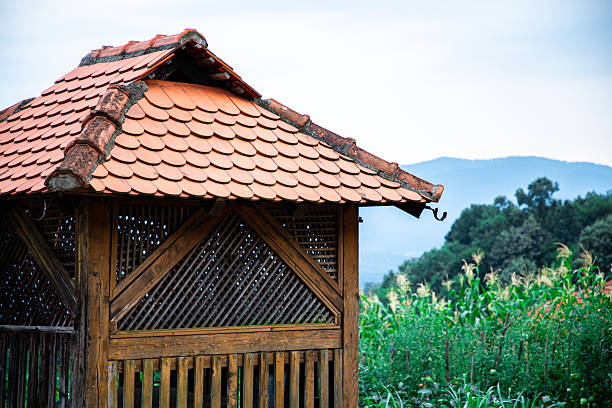 A charming old wooden mill in Bosnia Europe, perched on a hill, surrounded by lush greenery and abundant plant life. This picturesque scene embodies sustainable agriculture, eco-friendly farming, and rural heritage. Perfect for themes related to traditional farming, countryside landscapes, and environmental sustainability.