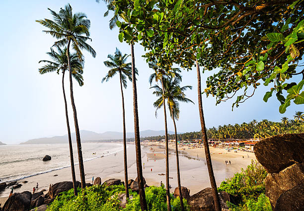 istock Scenic Beach View with Palm Trees in Goa, India 2207398691
