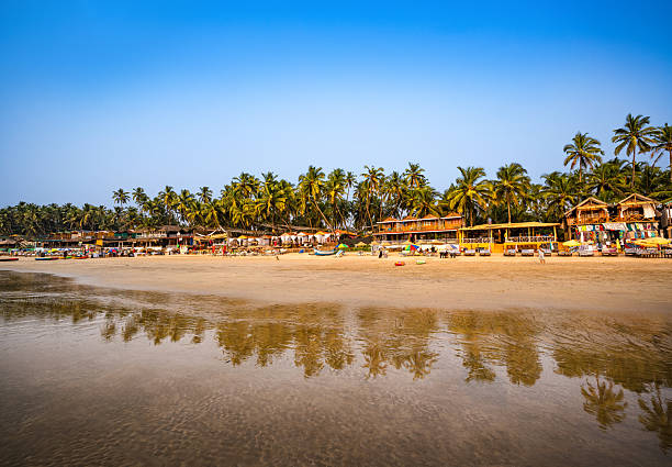 istock Peaceful Tropical Beachfront Scene in Goa, India with Palm Trees and Ocean Views 2207398712