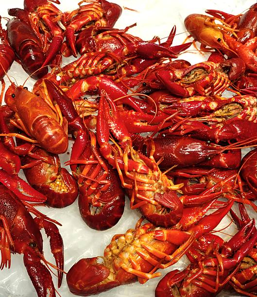 Lobster on a white background