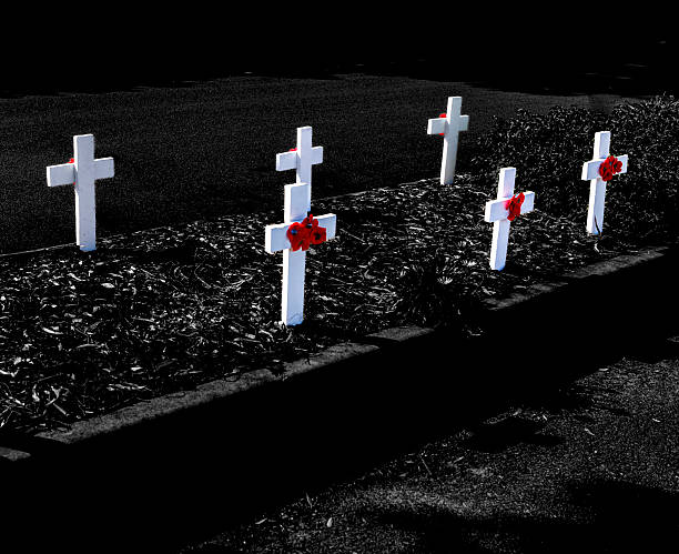 Crosses in a light with poppies to commemorate the fallen in the war. Anzac Day.
