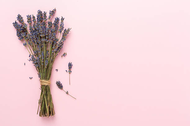 istock Lavender sprigs on color background,, top view 2207405969
