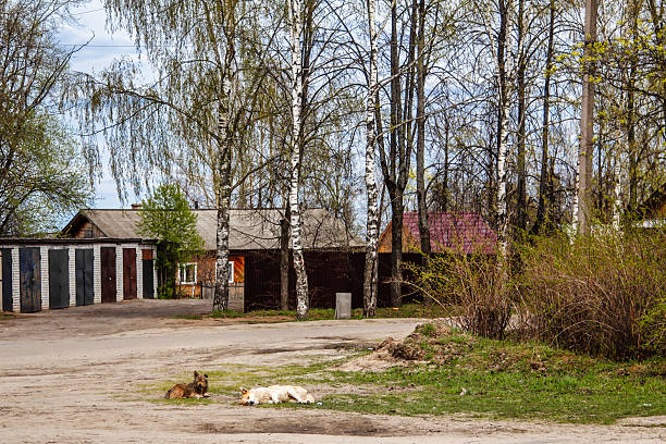 A rustic street in a Russian village during spring. Old wooden houses and unpaved roads create an authentic countryside atmosphere. Bare trees and fresh greenery frame the scene