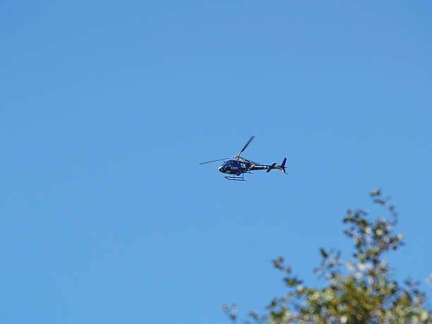 Sacramento, California, United States - March 12, 2009: Blue KCRA News Helicopter Flying Above Tree In Clear Sky