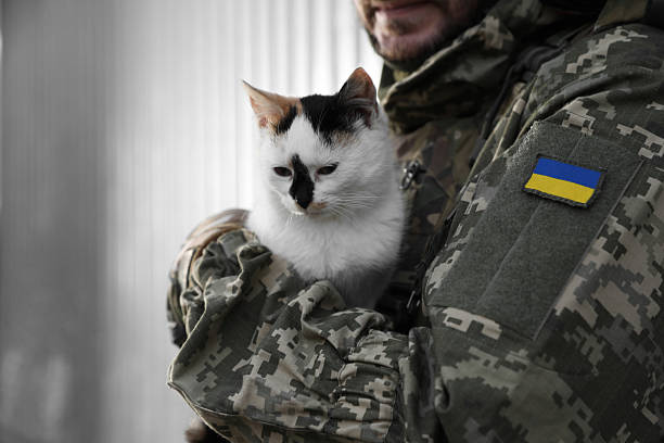 istock Ukrainian soldier with stray cat against light background, closeup. Space for text 2207415849