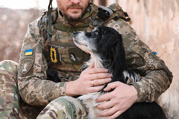 istock Ukrainian soldier hugging stray dog outdoors, closeup 2207415850