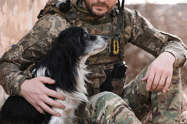 istock Ukrainian soldier with stray dog outdoors, closeup 2207415851