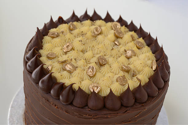 istock Chocolate Cream Cake with decorative frosting features chocolate and cream layers closeup side view of round elegant cake perfect for celebrations 2207417937
