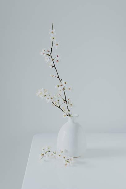 istock Tender blossom branches in a vase on a white background. Monochrome. Spring minimalistic concept. 2207418375
