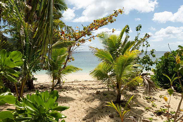 A serene tropical island beach is set with brown deck chairs inviting sunbakers to lounge in the sun