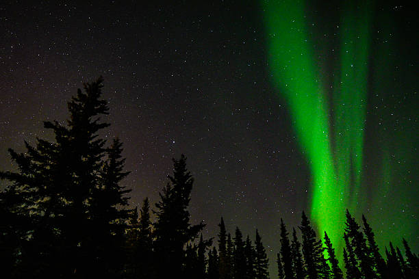 istock Aurora borealis in Alaska 2207423566