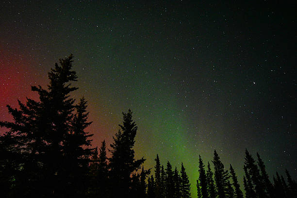 istock Aurora borealis in Alaska 2207423569