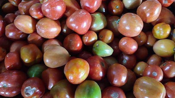 istock red tomatoes sold in traditional markets 2207431406