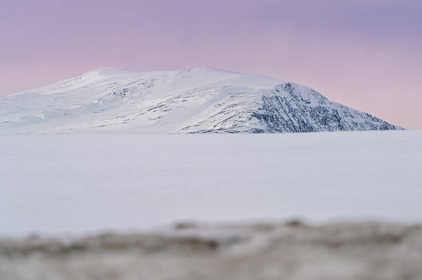 istock Minimalist Winter Landscape with Trees and Pink Arctic Sky 2207443202