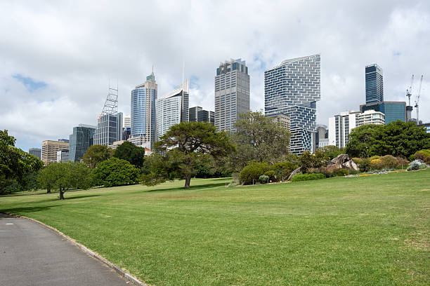 istock Tall city office buildings seen from a public park 2207447372