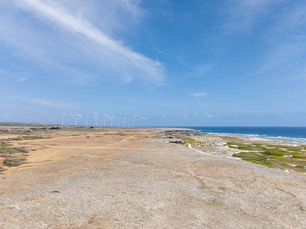 A panoramic view of Aruba's arid landscape, featuring vibrant houses nestled in the valley and a large hill in the background. The cactus-filled terrain and rocky outcrops add to the island's distinctive natural beauty, with the blue sea visible on the horizon.