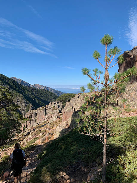 istock GR20 hike in North Corsica 2207457286