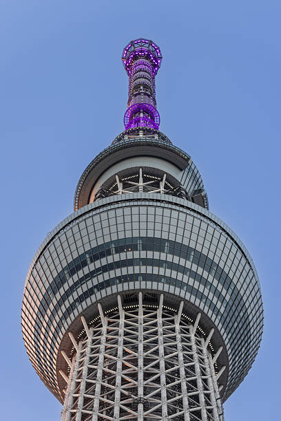 Low-angle view of Tokyo Skytree with its upper section and observation deck illuminated by purple evening lights and the warm glow of the setting sun against a clear sky