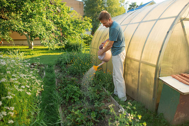 Man in a garden in spring or summer