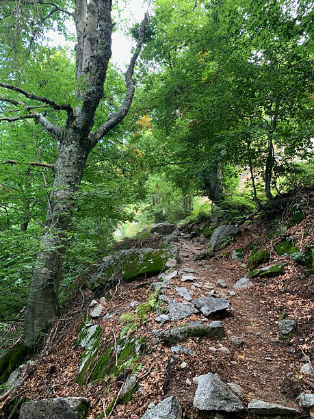 istock GR20 South between Prati and Usciolu 2207461263