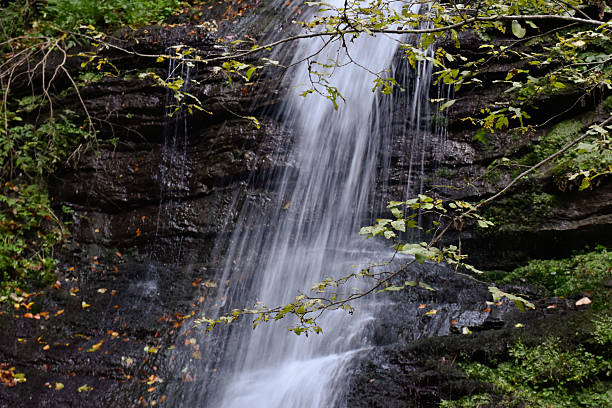 istock Stream with clear frothy water flowing down mossy rocks. 2207461524