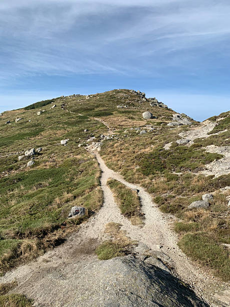 istock GR20 South trail in Corsica 2207461681