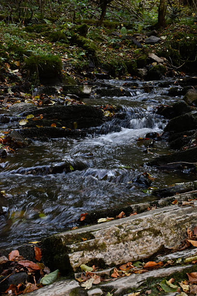 istock Mountain stream flowing between mossy rocks in autumn forest 2207461702