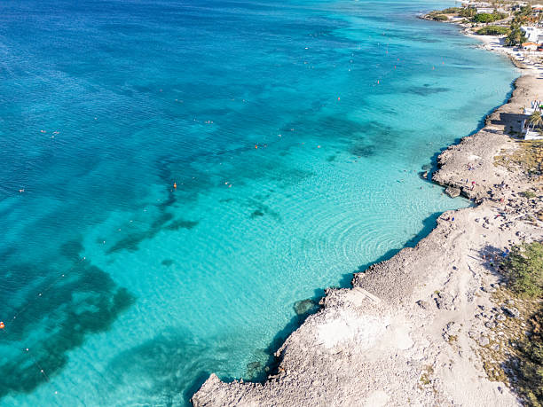 istock Aerial View of Pristine Coastal Waters and Sandy Beach 2207461884