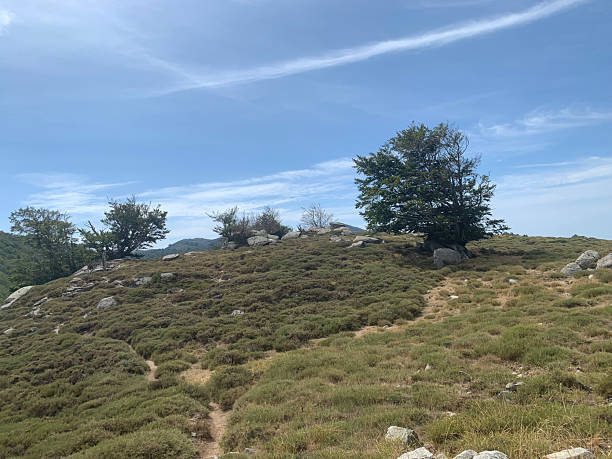 istock Landscape on the GR20 South in Corsica 2207462013