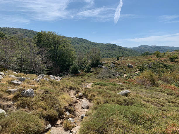istock Landscape on the GR20 South in Corsica 2207462017