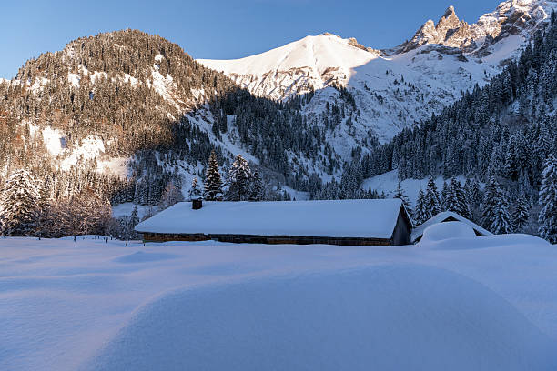 istock Deep snow landscape in December in the Bavarian Alps, Germany 2207464868