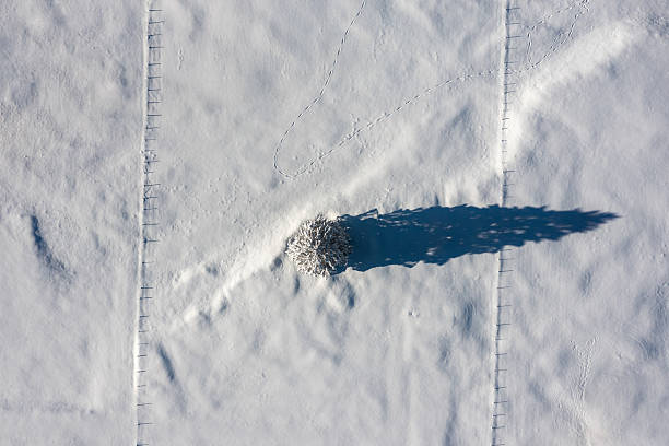 Drone aerial image with a fir tree minimalist on a snow-covered valley in the Bavarian Alps, Germany