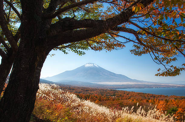 Fuji View Lake Yamanakako