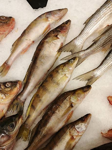 fresh fish