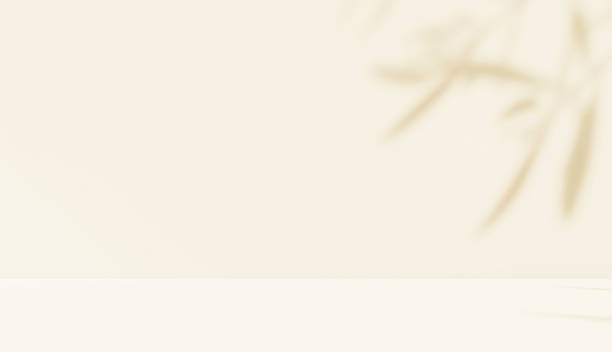 istock Brown cream beige shadow of leaves tree plan overlay effect in room studio for product presentation. 2207467991