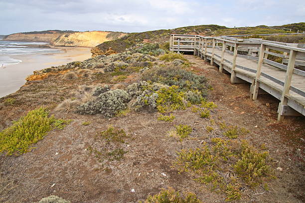istock Viewpoint at the coast in Torquay, Victoria, Australia 2207469203