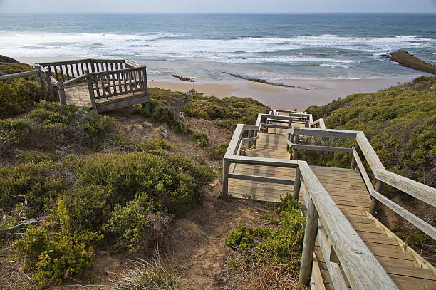 istock Viewpoint at the coast in Torquay, Victoria, Australia 2207470251