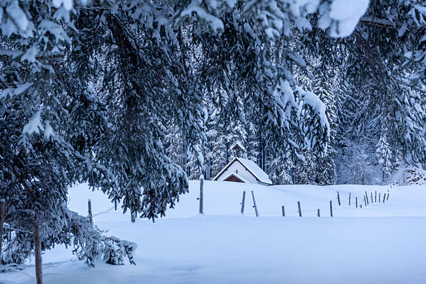 istock Winter scenery with snow-covered fir tree branches in the Bavarian Alps, Germany 2207470623