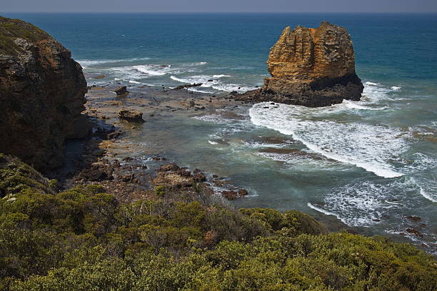 The south australian coast at split point, along the great ocean road.