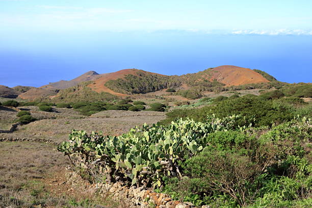 istock landscape around El Sabinar, El Hierro, Canary Islands, Spain 2207472734