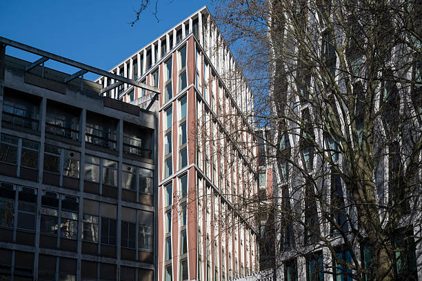 Contrasting architectural styles in London, where modern glass facades meet older concrete structures. The interplay of light, shadows, and natural elements highlights the city's evolving urban landscape.