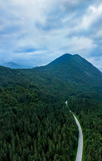 istock Drone aerial view with winding road passing through pine forest in Bavarian Alps, Germany 2207478782