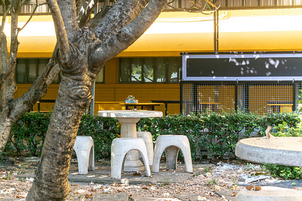 istock Woman Enjoying Snack at Outdoor Table Under Tree in Urban Setting 2207479169